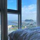 유채꽃길 | 여름 제주 골프여행 1 | 김만복김밥 | 가시리유채꽃길 펜션 | 디아일랜드블루호텔