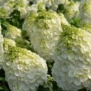 화목농장 이미지