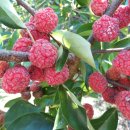 병진농장 이미지