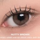 오렌즈대구점 이미지