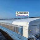 알파크린 이미지