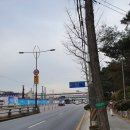 맥도날드~현대아파트앞 이미지