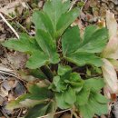 영옥농장 이미지