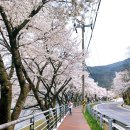 단성생활체육공원 이미지