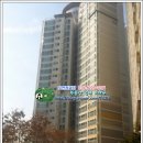 새상아약국