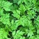 단군한의원 이미지