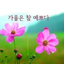 💟 8월30일 월요일 간추린 아침 뉴스 입니다 이미지