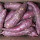 맛샘농장 이미지