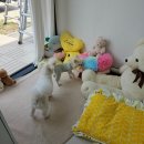 행복을 배우는 공간 이미지