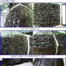 이가김밥 이미지