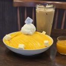 빙고 애견카페 | 일산 밤리단길 카페 | 밤빙고 - 로컬 밤가시마을 망고 빙수 맛집 애견동반