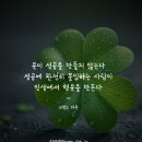 카돈 이미지