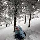 재난CCTV | 강원도 선자령 설산 등산｜등린이 초보코스 후기 &amp; 실시간 눈현황 CCTV 확인법