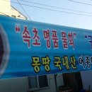 구구집 네이버블로그