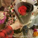 도봉로-14 이미지