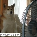 개편한세상 이미지