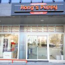 퍼피라이프 | 대구애견샵 홍스퍼피 후기! 건강한 분양으로 유명한 애견샵