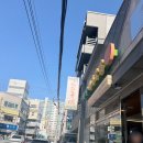 대밭골 | 울산 삼산 돼지국밥 대밭골 돼지국밥 혼밥 후기