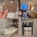 봄&봄 휘트니스 클럽 | 롯데호텔서울 체크인 이그제큐티브 디럭스룸으로 룸 업그레이드 받은 후기