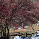 별천지영농조합법인 이미지