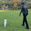 코코픽셀 이미지