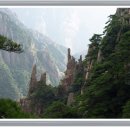 자작마을 이미지