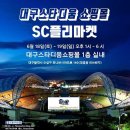 플리민 네이버블로그