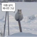 일상9