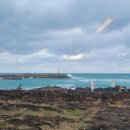 제주도 가족 펜션 오드리하우스 이미지