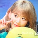 위즈밍