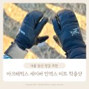 성미트 | 겨울 등산 장갑 추천 아크테릭스 장갑 세이버 인덱스 미트 후기 착용샷