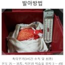 원예농협하나로미니식품클러스터 | 초당 옥수수... 정보 스크랩