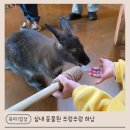 어린이놀이터파충류샵 | 하남 실내 동물원 추천｜아이와 즐긴 주렁주렁 하남점 먹이 체험 후기