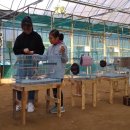 다움농장2 이미지