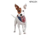 강아지와 고양이 이미지