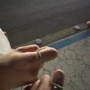 제주해 이미지
