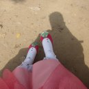 수복꽃신 이미지