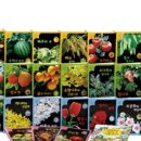 꽃내음하우스 이미지