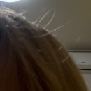 안녕하신지 | 신상으로 함께하는 안녕하지 못한 일상(๑˃̵ᴗ˂̵)