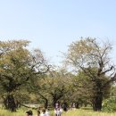 하대어린이집 이미지