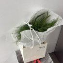 막스카라 | W6. 볼라르 스튜디오 촬영후기(손가영 실장님 작가지정, 최세은 플래너님)/ 탁살롱 헤어변형 (수지 실장...