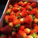 북촌농장 이미지