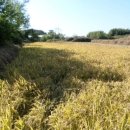 전대2리 이미지