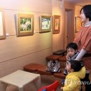 갤러리안과의원 이미지