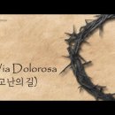 (생활성가)비아 돌로로사 Via Dolorosa 고난의 길 & 베드로의 고백 이미지