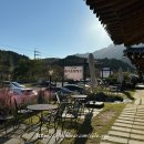 송원애견의집 이미지