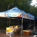 수내2동 주민센터 이미지