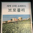 제주에서 유명한 콩국수 맛집 통일가든 방문 후기/열무국수도 맛있어요!
