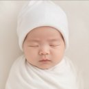 카페 진국 | 31주차 기록 2차 정밀초음파 (베이비매직 후기) + 양산 카페 데이트 일상 (카페 보르너/양산 국밥 더진국)