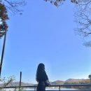 태허정로 이미지